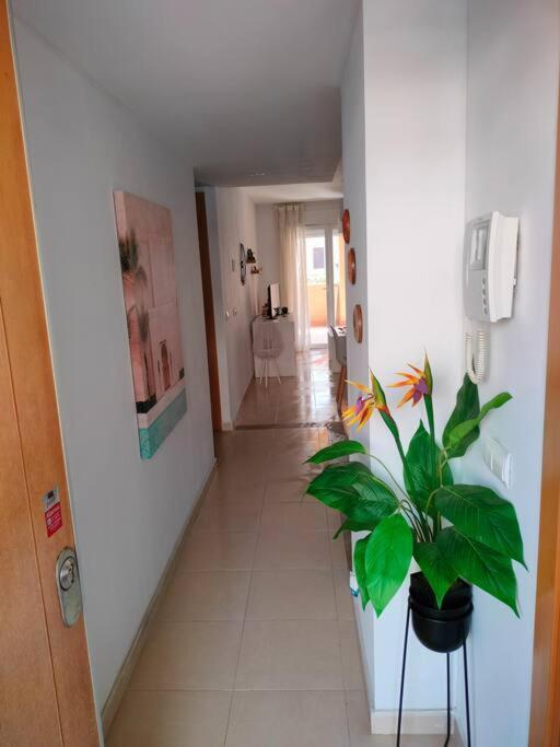 Bajo Con Jardin A Pie De Playa Y Piscina Comunitaria Con Jacuzzi Appartement Playas de Vera Buitenkant foto
